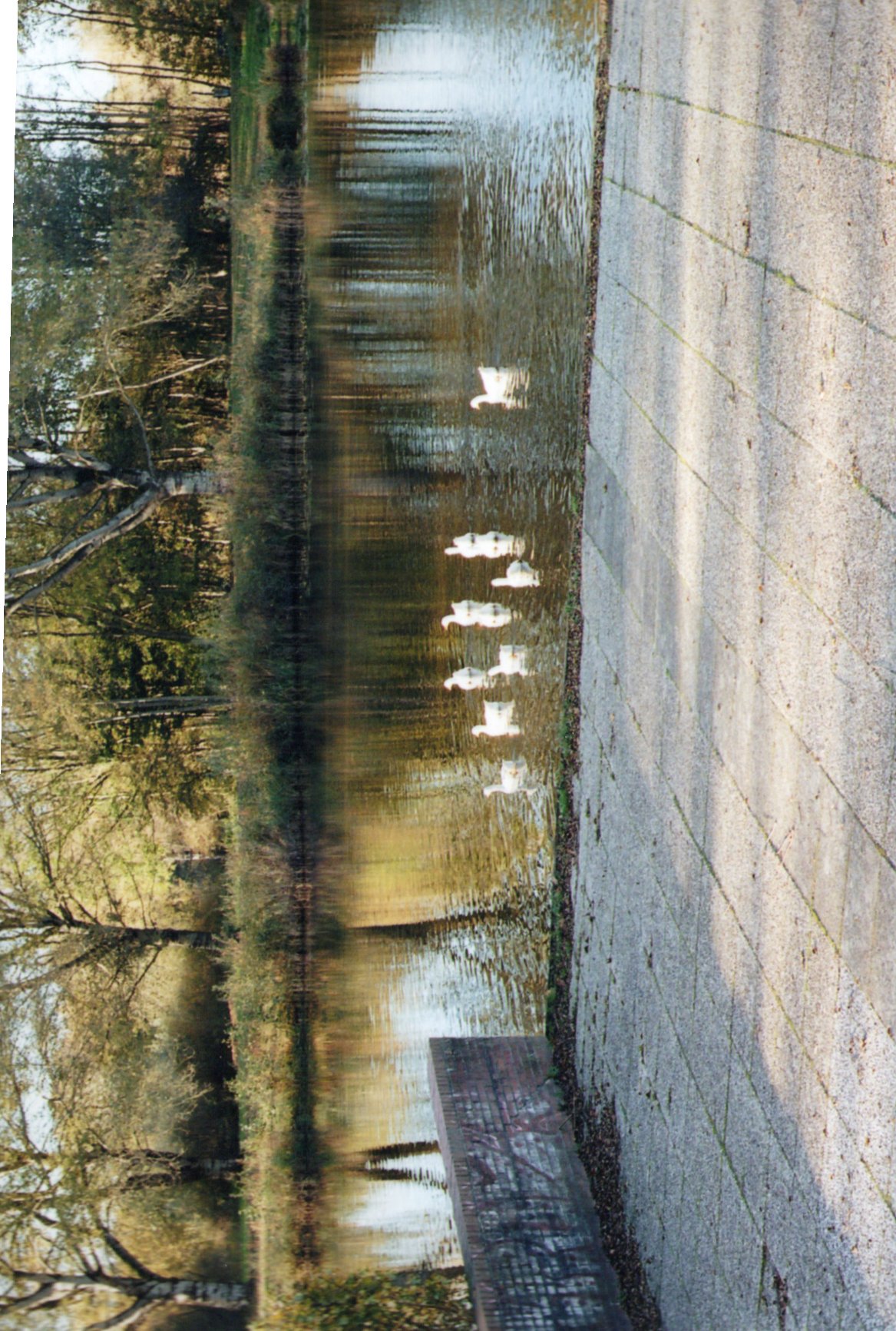 Rewriting my blog in Astro